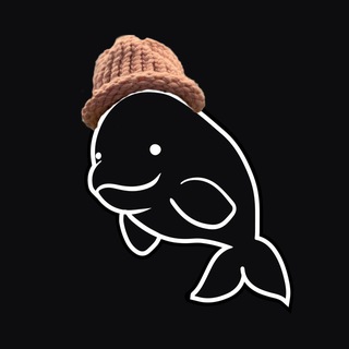 BELUGA